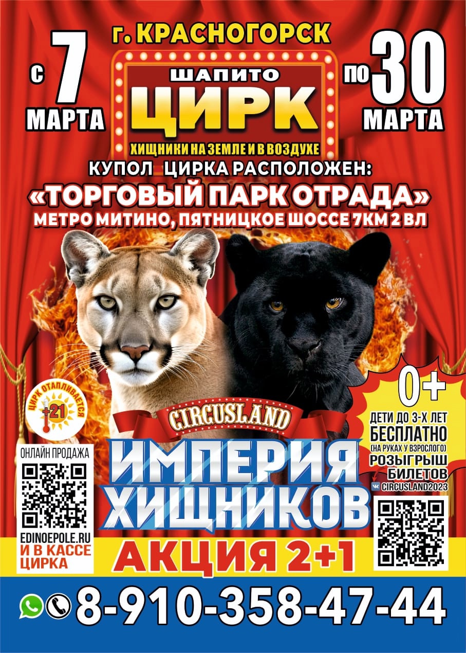 Афиша